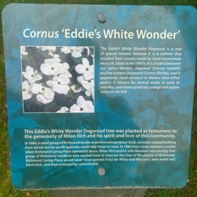 Eddie's White Wonder Plaque